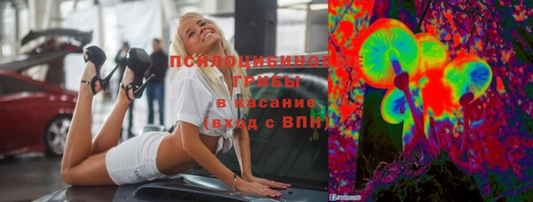 кокс Белокуриха