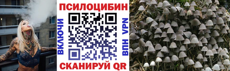 OMG вход  магазин    Заринск  Галлюциногенные грибы Psilocybine cubensis 